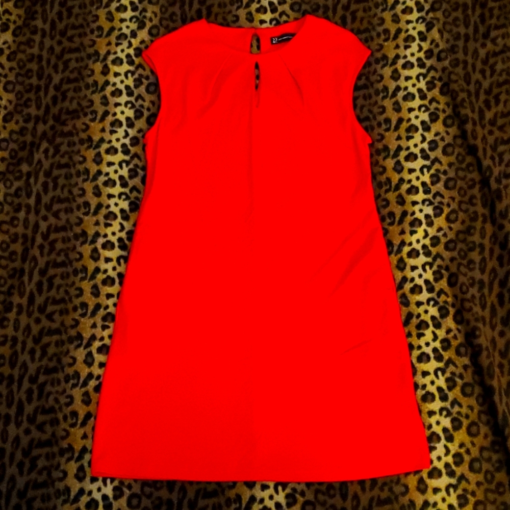 New York and Company Dress